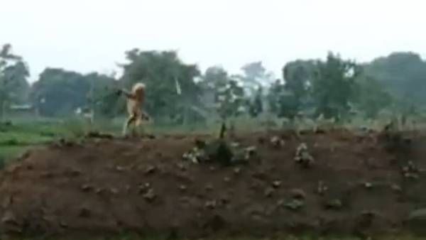 Viral Video: కోతి చేసిన పని చూస్తే షాక్ అవుతారు.. వైరల్ అయిన వీడియో..