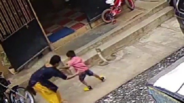 viral video:కాలనాగుపై కాలు వేయబోయి, పడగతీసిన సర్పం, వాయువేగంతో స్పందించిన తల్లి