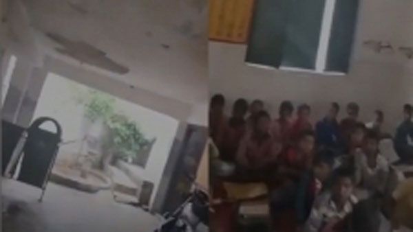 viral:స్కూల్ భవనం ఇలా.. శిథిలావస్థకు చేరి.. వీడియో వైరల్