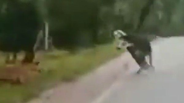 Viral Video: పులినే భయపెట్టిన ఎద్దు.. వైరల్ అయిన వీడియో..