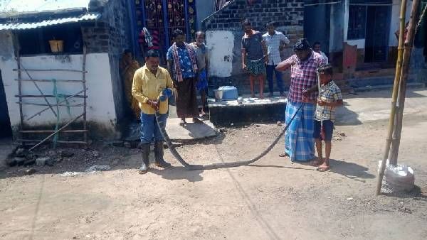 King Cobra: శ్రీకాకుళం జిల్లాలో హల్‍చల్ చేసిన భారీ కింగ్ కోబ్రా.. చూస్తే వణికిపోవాల్సిందే..