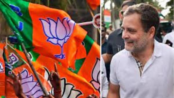 రూ.41 వేల టీ షర్ట్: రాహుల్ ధరించడంపై బీజేపీ భగ్గు, కౌంటర్ ఇచ్చిన కాంగ్రెస్