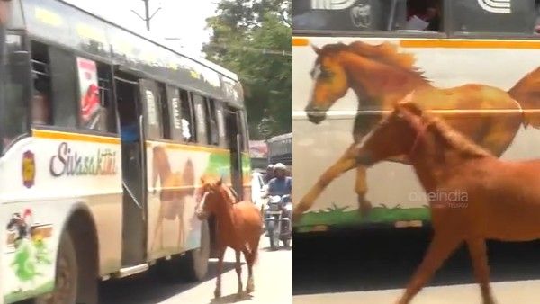 Viral Video: బొమ్మను చూసి తల్లి అనుకుంది.. అమ్మ కోసం పరుగెత్తింది.. కన్నీరు పెట్టిస్తున్న వీడియో..