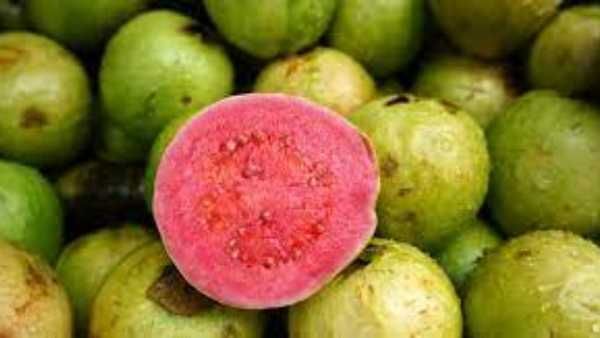Guava: షుగర్ ఉన్నవారు జామ పండు తినొచ్చా..
