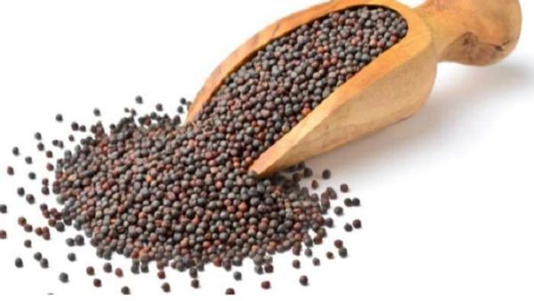 Mustard Benefits: ఆవాలే కదా ని తీసుపారేయకండి.. ఎందుకంటే..