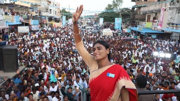 మునుగోడు వీధుల్లో కుక్కల కొట్లాట; ఢిల్లీలో కవితకోసం కేసీఆర్ వెంపర్లాట: వదిలిపెట్టని వైఎస్ షర్మిల