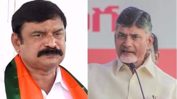 టీడీపీతో పొత్తుపై బీజేపీలో చీలిక ? జనం కోరిక అదేనంటున్న విష్ణుకుమార్ రాజు-సునీల్ కు ఝలక్ !