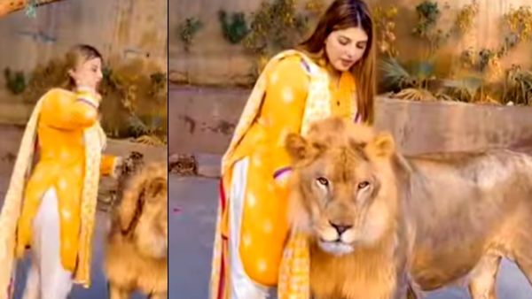 VIRAL:అదీ పిల్లి కాదు సింహాం, దాడి చేయగల, లయన్‌తో ఉమెన్, వైరల్