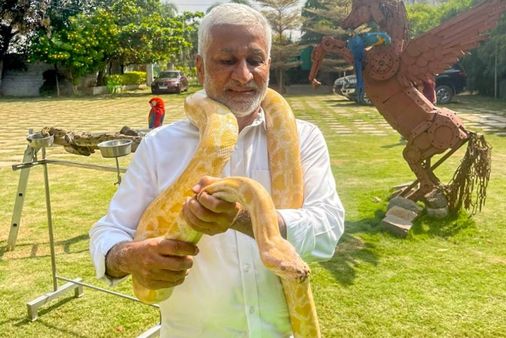 సాయిరెడ్డి మెడలో కొండచిలువ, ఫోటోకు ఫోజులు, ట్వీట్