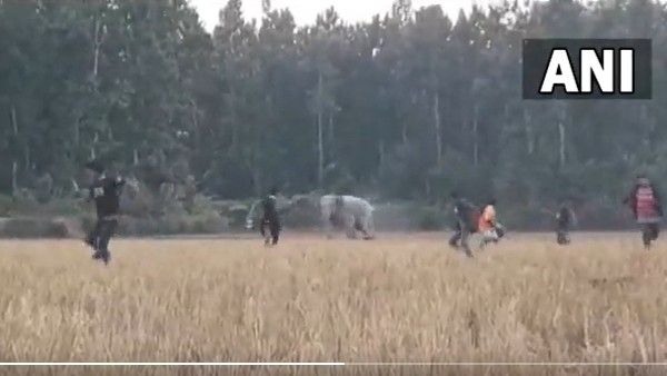 Viral Video: పరుగులు పెట్టించిన ఏనుగు.. వైరల్ అయిన వీడియో..