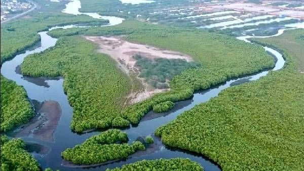 జగన్ సర్కార్ కు రూ.5 కోట్ల ఫైన్ -ఎన్టీటీ సంచలన తీర్పు- కారణమిదే..