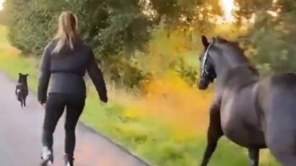 VIRAL VIDEO:ఓ వైపు గుర్రం.. మరోవైపు పెట్ డాగ్, రెండింటితో కలిసి స్కేటింగ్