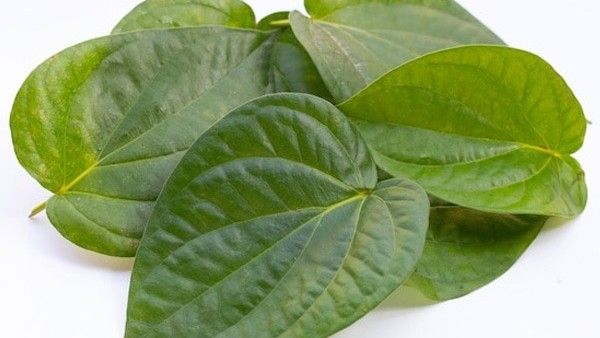   vastu tips: ఆర్ధిక కష్టాలకు, కుటుంబసభ్యుల విబేధాలకు తమలపాకులతో చెక్ పెట్టండి.. ఎలాగంటే!!