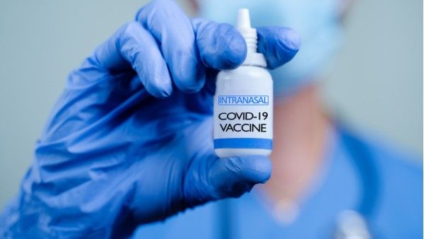 భారత్ బయోటెక్ నాసికా వ్యాక్సిన్ ధరలు ఇవే: ప్రభుత్వ, ప్రైవేట్ ఆస్పత్రుల్లో తేడా