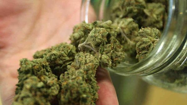 ఏకంగా గంజాయి చాక్లెట్లు.. గంజాయి దందాలో ఎంతగా ముదిరిపోయారబ్బా!!