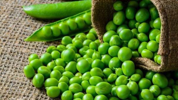  Green Peas: పచ్చి బఠానీలు ఎక్కువగా తింటున్నారా.. అయితే ఈ సమస్యలు తప్పవు..!