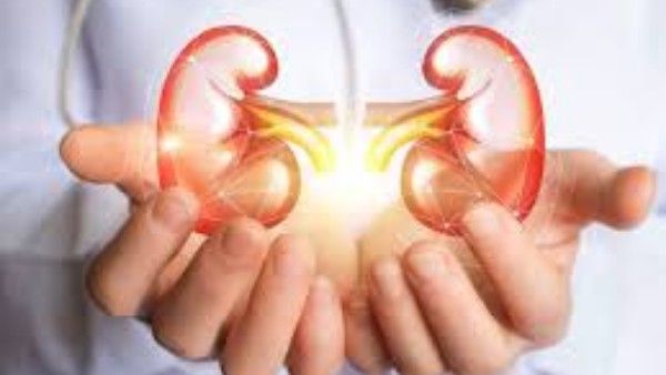 health tips: కిడ్నీలు దెబ్బతినకుండా ఆరోగ్యంగా ఉండాలంటే చెయ్యాల్సినవి ఇవే!!
