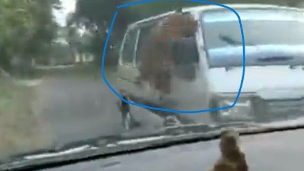 Viral Video: చిరుతపులి దాడుల కలకలం: 15 మందికి గాయాలు, వ్యాన్‌పై దూకిందిలా!