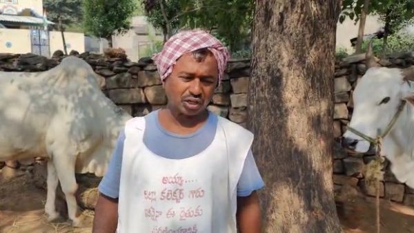 ఆవు మూత్రం పోసింది..జరిమాన ఎంత విధించారో తెలుసా..?