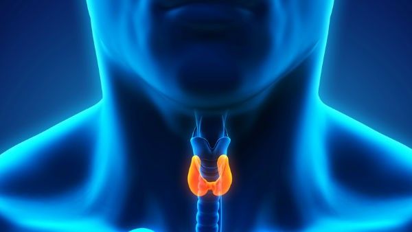 Thyroid: మీకు థైరాయిడ్ సమస్య ఉందా.. అయితే ఈ ఆహారం తీసుకోండి..