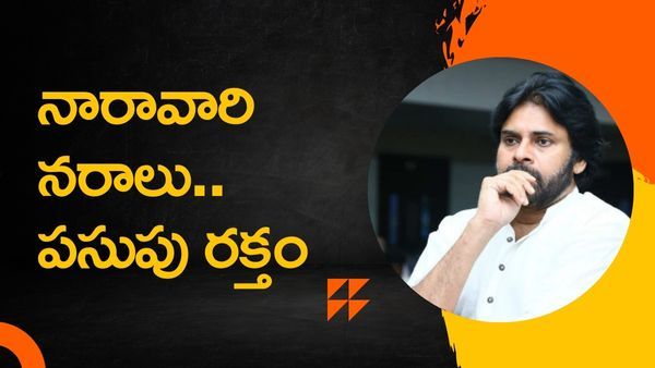 పతివ్రత పరమాన్నం వండితే.. పవన్‌ పై చెలరేగిన మంత్రి అమర్నాథ్..!