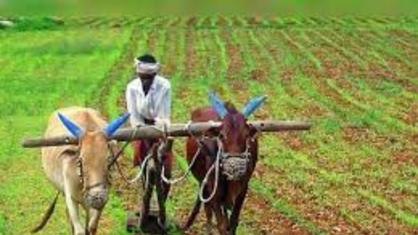 Super CM: సౌత్ ఇండియాలో సూపర్ సీఎం ఎవరు ?, మైండ్ బ్లాక్, ఏకంగా రూ. 5 లక్షలు !