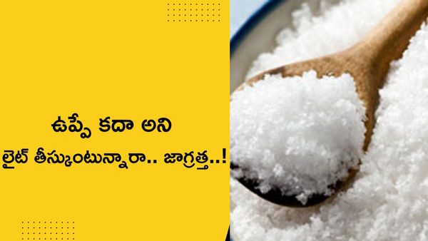 Vastu tips:వాష్ రూంలో ఉప్పు కచ్చితంగా ఉంచాలి.. కాదు.. కూడదంటే..?