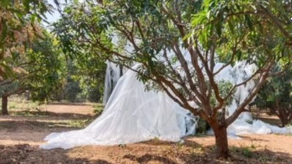 తెలంగాణలో బిగ్ బెలూన్ కలకలం: ఎక్కడ పడిందంటే..?