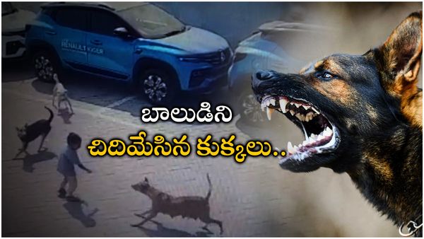 Hyderabad: అంబర్‍పేట్‍లో దారుణం.. బాలుడిపై దాడి చేసి చంపేసిన కుక్కలు..