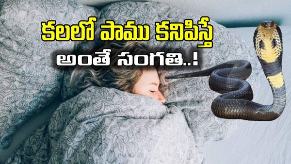 Astrology: కలలో పాములు పదే పదే కనిపిస్తున్నాయా.. అలా ఎందుకంటే..!