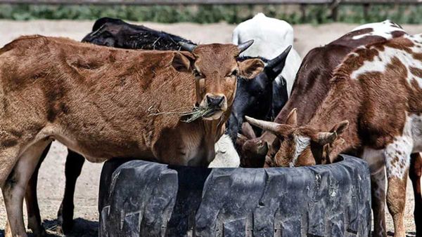 వెనక్కి తగ్గిన కేంద్రం: ఆ కాన్సెప్ట్ క్యాన్సిల్: ఉత్తర్వులు ఉపసంహరణ