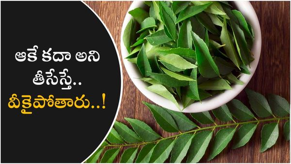 Curry Leaves: కరివేపాకే అని తీసేస్తున్నారా.. అయితే నష్టపోతారు..!
