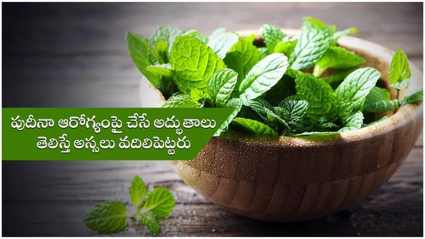 health tips: పుదీనాతో బోలెడు ఆరోగ్య ప్రయోజనాలు; రోజూ తీసుకుంటే దివ్యౌషధమే!! 