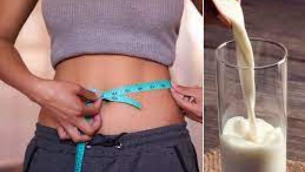  Milk Benefits: పాలు తాగితే బరువు తగ్గుతారా..!