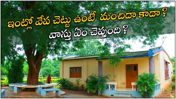 vastu tips: వేపచెట్టు ఇంటి ముందు తూర్పున ఉంటే శుభమా? అశుభమా? తెలుసుకోండి