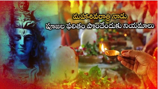Maha shivratri 2023: మహాశివరాత్రి పూజలు చేసే వారు ఈ పనులు అస్సలు చెయ్యొద్దు!!