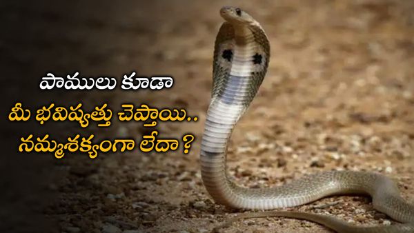 astrology: పాములు ఇలా కంటపడితే అదృష్టం; ఊహించని ధనలాభం!!
