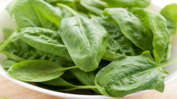 health tips: పాలకూరలో పోషకాలు మెండు; హెల్త్ బెనిఫిట్స్ బోలెడు.. కానీ వాళ్ళు జాగ్రత్త!!