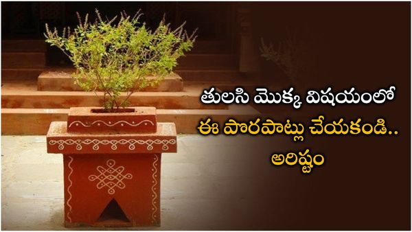 vastu tips: తులసిమొక్క ఆకులు తుంచేటప్పుడు ఈ తప్పులు అస్సలు చెయ్యకండి.. దురదృష్టం వస్తుంది!!