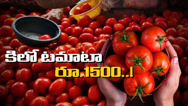 Tomato: షాకిస్తున్న టమాటా ధరలు.. కిలో రూ.1500..!