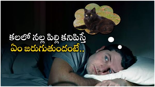 vastu tips: సడన్ గా నల్లపిల్లి కనిపిస్తే అశుభమా? శుభమా? తెలుసుకోండి 