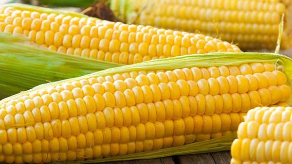 Health News: మొక్కజొన్న లాభాలు తెలిస్తే తినకుండా ఉండలేరు..