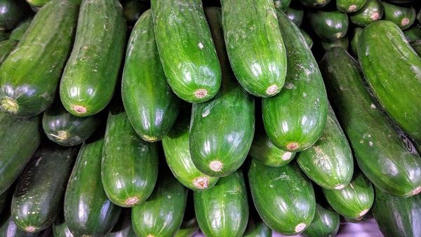 Cucumber: కీరదోసకాయ తింటున్నారా.. అయితే ఈ విషయాలు తెలుసుకోండి..!