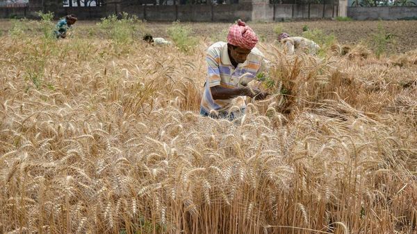election: ఎన్నికల టైమ్ లో అధికార పార్టీకి లేనిపోని సమస్యలు, రైతులతో పెట్టుకుంటే?