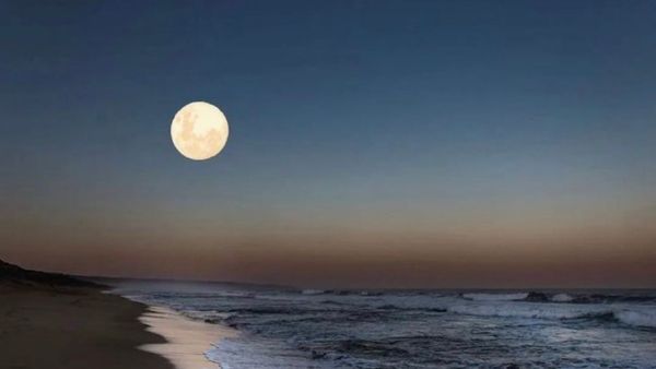 Worm Moon: కనువిందు చేస్తోన్న హోలీ పున్నమి చంద్రుడు- వానపాములతో సంబంధం..!!