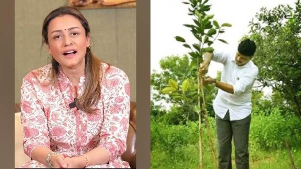 ఎంపీ సంతోష్ కుమార్ విసిరిన గ్రీన్ ఇండియా ఛాలెంజ్ స్వీకరించిన నమ్రత శిరోద్కర్!!