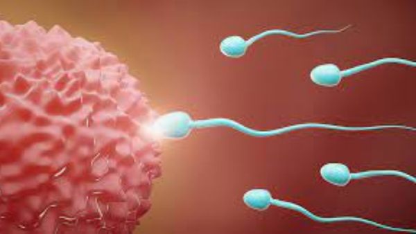 Sperm Count: ఈ పని చేయండి.. అవి భారీగా పెరుగుతాయి..!