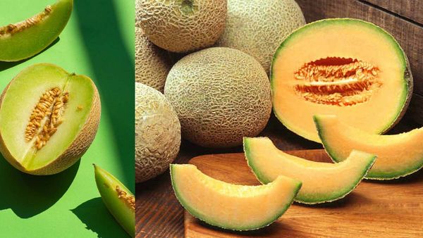 ఎండాకాలంలో ఖర్బూజా తీసుకుంటున్నారా?