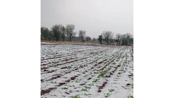 అకాల వర్ష బీభత్సం.. ఉగాది ముందు రైతన్నలకు పెద్ద కష్టం, అపార పంట నష్టం!!