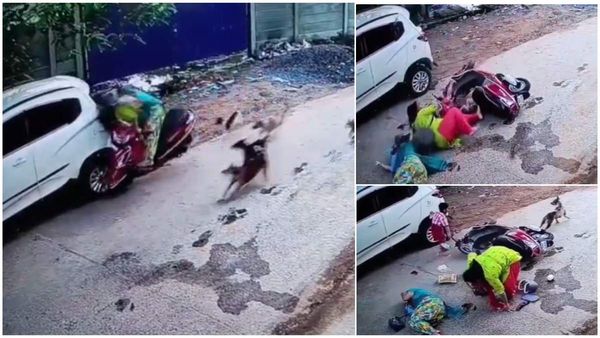Viral Video: వామ్మో కుక్కలు.. కారును గుద్దేసిన స్కూటీ.. వీడియో వైరల్..